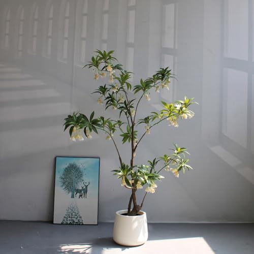 HWQFM tFCNO[ A  ^ ͂ȂO[ lHϗtA { 140cm lHA ϗt CeA  뉀 iX K[f x_ ze ڊ X  ̖ fR[V k sv