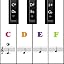 Sticker Color