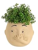 Afigurna Funny Bathroom Planter Decor: Quirky Holding Nose Plant Pot Indoor for Bathroom Counter - Succulent Pot with Drainage - Unique Face Planter for Guest Bath room Counter Shelf Toilet Decoration