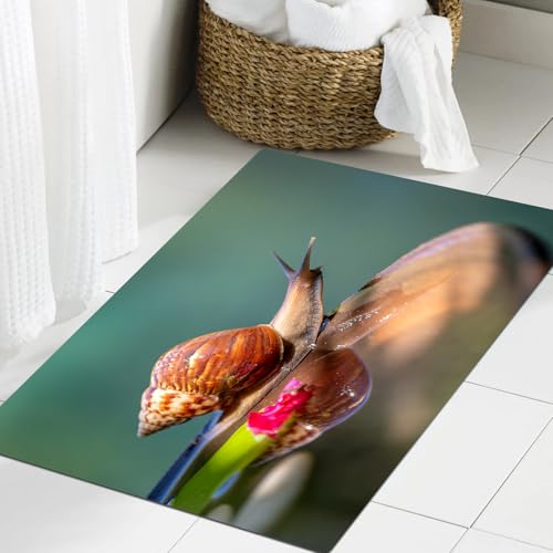【Ampiamente utilizzato】si può usare ovunque si possa bagnare facilmente, nella doccia o accanto alla vasca da bagno, in cucina, sotto il lavandino, sotto la ciotola del cibo dell'animale domestico, e si può anche usare come zerbino interno o tappetino per la camera da letto.