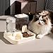 IEUDNS 2 in 1 Automatic Pet Feeder Food Container Household Drinking Detachable Compact Cat Feeding Bowl Cats Feeder for Small Dogs, Clear