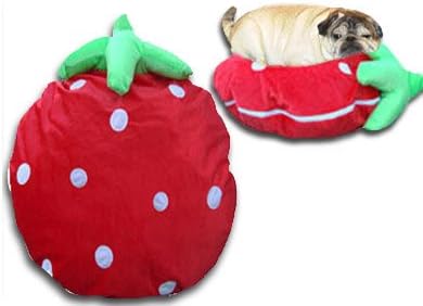 Fancy Lulu Japanese Anime Cute Strawberry Pillow Bed Perfect Gifts