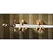 Design Toscano Talons of the Dunheviel Dragon Wall Sculptures