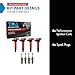 TRQ Ignition Coil & Spark Plug Kit Iridium 8 Piece Compatible with 2001-2009 Toyota Prius 2012-2019 Toyota Prius C 2007-2018 Toyota Yaris 2000-2005 Toyota Echo 2004-2006 Scion xA xB