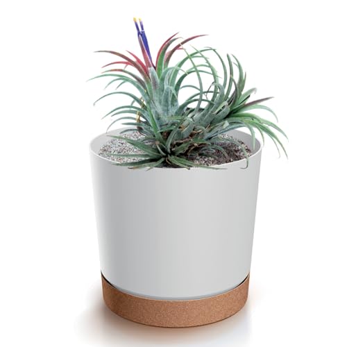 Blumentopf mit Untersetzer ECO, Übertöpfe für Zimmerpflanzen, Pflanzkübel, Übertopf Kompakt, 24 cm Durchmesser, Elegantes Design für Innen- und Außenbereich (Weiß, 240)
