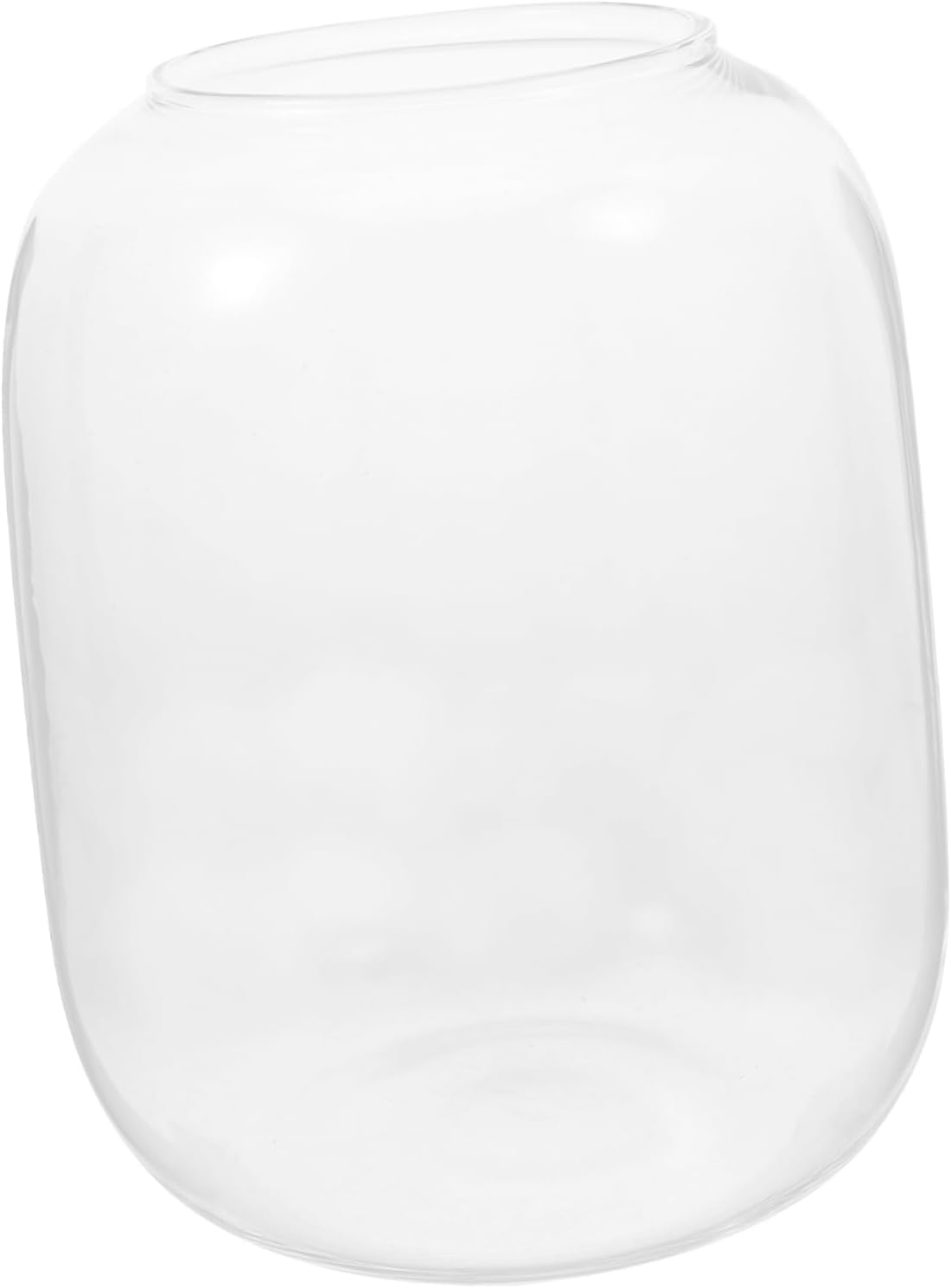 Large Glass Vase for Hydroponic Plants Terrarium and Microlandscapes Versatile Decorative Container for and Office Use