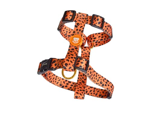 DUKIER - Pettorina classica per cani, gilet antistrappo, regolabile e a forma di H per animali domestici, design Leopard Gold, taglia L