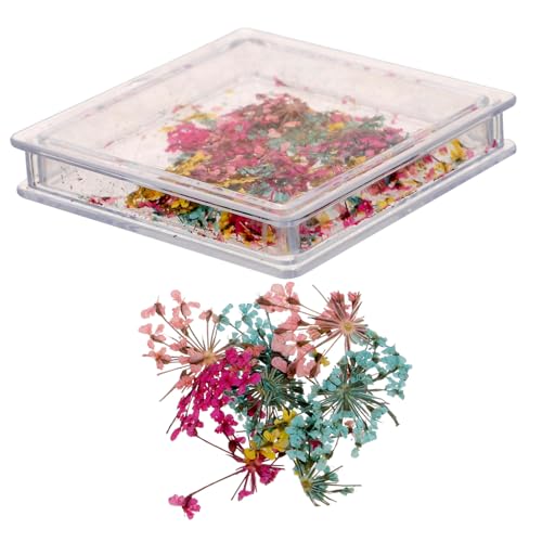 Decoración floral seca para uñas con caja portátil miniatura 1