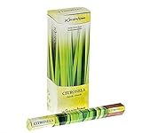 Incienso para ambiente Incienso a Stick - Made in India - 6 Paquetes de 20 varillas Citronela Anti Mosquitos