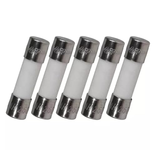 Fusible céramique F1A H250V lot de 5 pièces pour protection circuit électrique