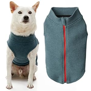 Gooby Zip Up Microfiber Fleece Sweater – Turquoise, Large – Warm Double Layered, Step-in Jacket Without Leash – Winter Sweaters