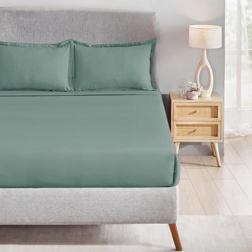 Image of myTrident Bedsheet for Double Bed King Size | 108 inch x 108 inch | Cedar