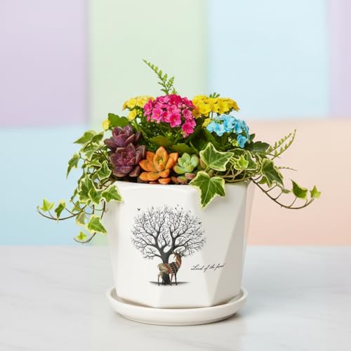 Image of Xtore Artistic Forest-Themed Ceramic Planter with Drainage Tray | Decorative Indoor Flower Pot for Home, Office Desk & Balcony Styling (White with Decal - Planter only)