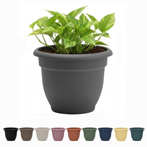Bloem AP20908 Ariana Self Watering Planter 20', Charcoal Gray
