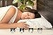 Sleep Artisan Latex Pillow Standard Size Adjustable Bed Pillows with Washable Cover (1) Made in The USA