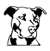 Pitbull head dog animal pet american pit bull breed Vinyl Decal Sticker
