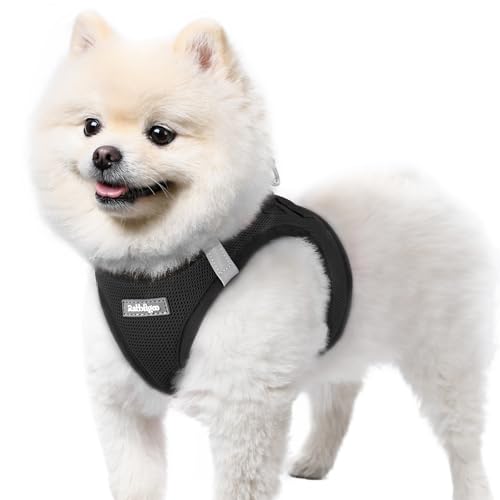 rabbitgoo Dog Harness Small Dog Step-in Soft Mesh Vest Black
