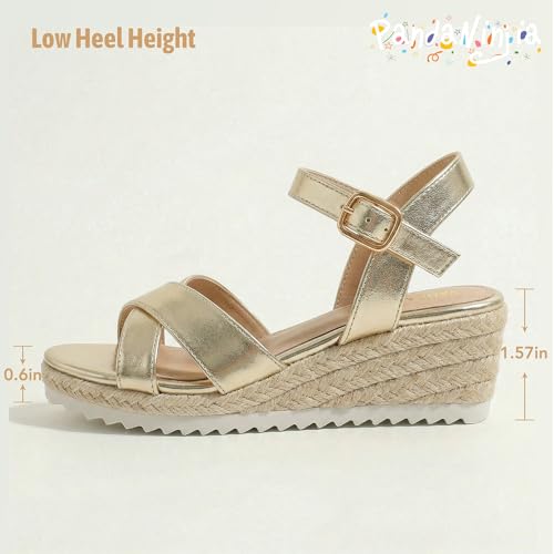 Image of PANDNAINJIA Girls Sandals Wedge Platform Heels Dress Shoes