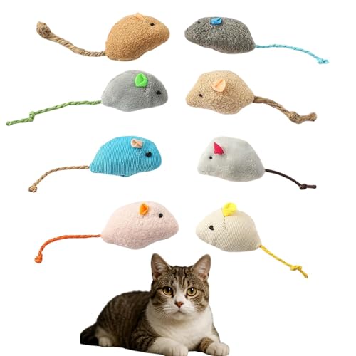 Lifetips AJC[wA American Wirehair Lp lY~ʂ 8Zbg qL L V XgXU ^s ӂӂf L炵  ybgObY