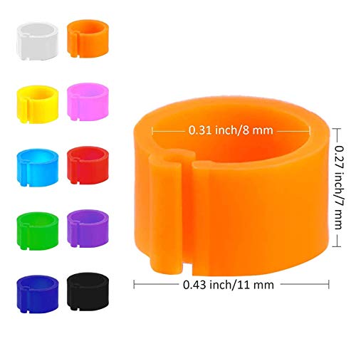 200 Pezzi Anelli per Piedi di Piccione Fasce