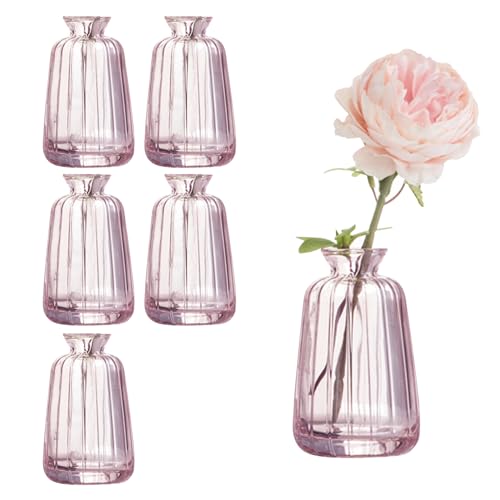 Set di 6 piccoli vasi in vetro per decorazione da tavolo, mini vasi per fiori per matrimonio (11 x 6,5 cm, rosa)