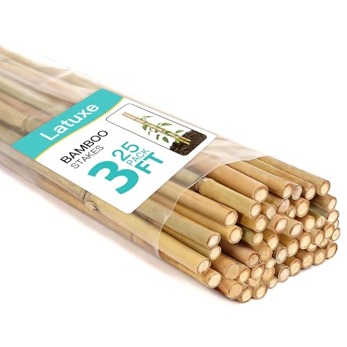 Latuxe Bamboo Stakes 3FT 25pcs Garden Stakes Specifically Designed for Climbing Plants Ideal for Tomatoes Beans Cucumbers Peppers Vines and More Plant Growth