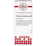 Hersteller: DHU-Arzneimittel GmbH & Co. KG, Deutschland (Originalprodukt)