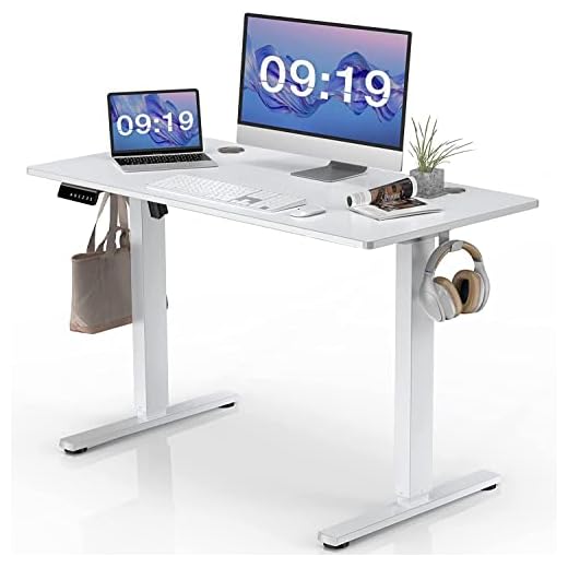 SMUG Standing Desk, 48 x 24 in Electric Height Adjustable Computer Desk Home Office Desks Sit Stand up Desk Computer Table with Memory Controller/Headphone Hook, White