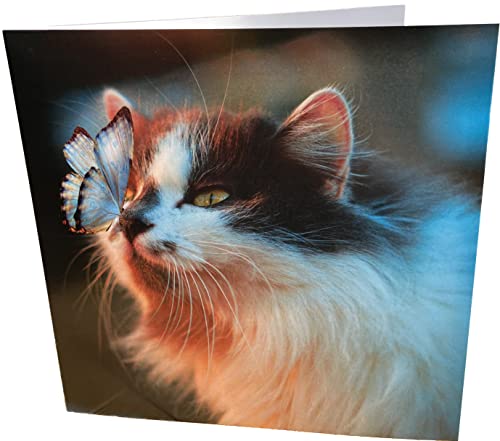 Maturi Geburtstagskarte Mit Katze – Quadratisch, Blanko & Umweltfreundlich