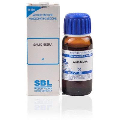 SBL Salix Nigra 1X (Q) (30ml) By Natural & Herbal