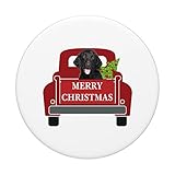 Zoom IMG-2 merry christmas truck dog retriever