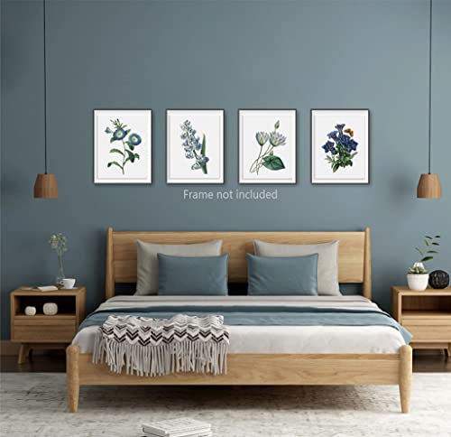 Blue Flower Canvas Wall Art Print, Vintage Floral Botanical Decor Antique Botany Poster, Blue Tone Morning Glory Water Lily Hyacinth Gentian Decorate For Office, Set Of 4 ,8 X 10 In Unframed #TOP6
