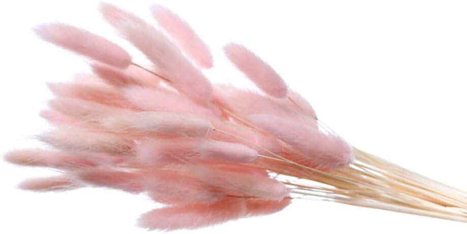 IMIKEYA 60pcs Rabbit Tail Grass Dried Flowers Bouquet Bunny Tail Flowers Lagurus Natural Floral Arrangement Stems Bunch for Wedding Farmhouse Table Boho Decor Pink