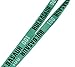 Pokemon Bulbasaur 001 Exclusive Lanyard with ID Badge Holder & PVC Rubber Charm