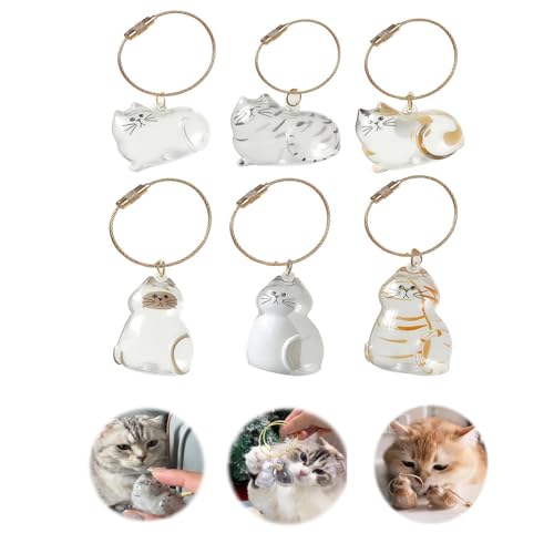 Mfqire 6PCS Llavero Cápsula para Pelo de Gato, Botella Recuerdo Transparente con Forma de Gato, Colgante para Guardar Pelo de Mascota, Regalo para Amantes de Gatos