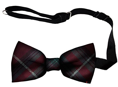 Noeud papillon homme Stuart of Bute Écosse : idée cadeau chic en laine