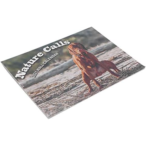 Hanging Calendar, Wall Hanging 11.0x8.3in 2021 Calendar, Gift Office for Home(MN004-1) Cover