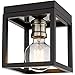 Z-Lite 1 Light Flush Mount 480F1-MB-BN Nickel