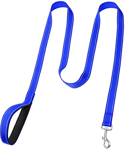 Funtags 6Ft Reflective Dog Leash With Soft Padded Handle For Training,Walking Lead For Large & Medium Dog,1 Inch Wide,Royal Blue #TOP1