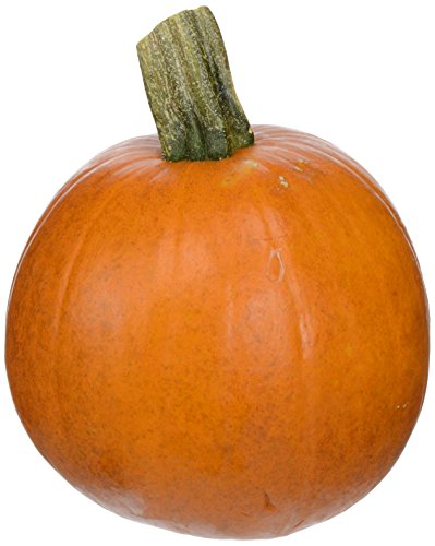 Sugar Pie Pumpkin (Approx. 2-4 lbs.)