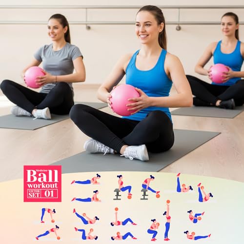 Image of Aoriher 10 Pack 9 Inch Small Pilates Ball Bulk Mini Exercise Ball Portable Non-Slip Workout Yoga Balls with Air Pump for Stability, Barre, Fitness, Balance, Physical &Core, Gym Home Office Use
