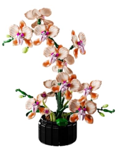 EVREFIN ~jrfBOubN t[u[P av[g lHu[P  X^CbV j̎q ̎q l ԕrt fXNgbvI[igMtg (6)