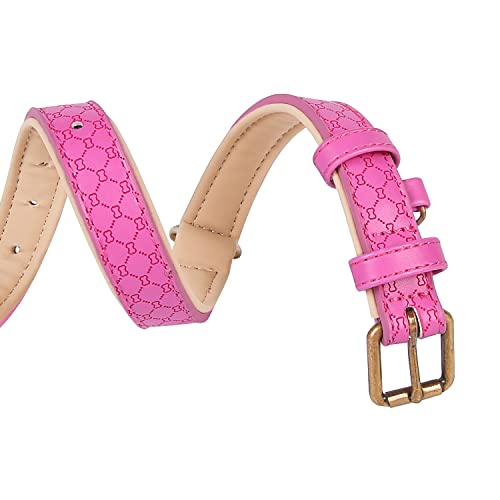 Basic Classic Luxury Padded Leather Dog Collar - Rust Proof Brass Strong Leather Collar Heavy Duty Alloy Hardware Best for Small, Medium, Large Dogs - Image 7