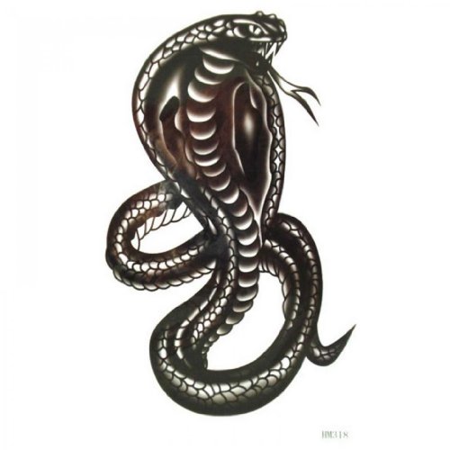 Best Cobra Tattoos