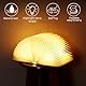 GOMETY Hölzerne Faltende Buchlampe, 17x14x2.5cm LED Buch Licht Dekorative USB Aufladbare 5 Farbmodi 360°Faltbar Deko Lampen Buchformig Nachtlicht für Geschenk Freundin Kinder Eltern Home Decor