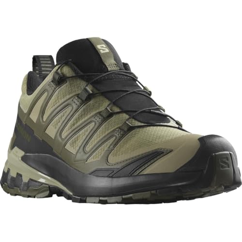 Salomon Men's XA Pro 3D V9 Gore-TEX Sneaker, Dried Herb/Black/Olive Night, 9