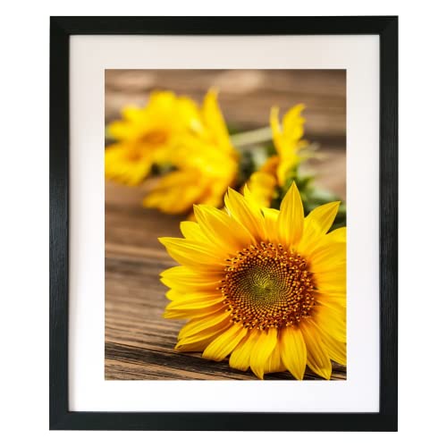 EVQUIT 14x17 Wall Picture frame with 11x14 mat, Black Gallery Photo Frame for Horizontal or Vertical Display