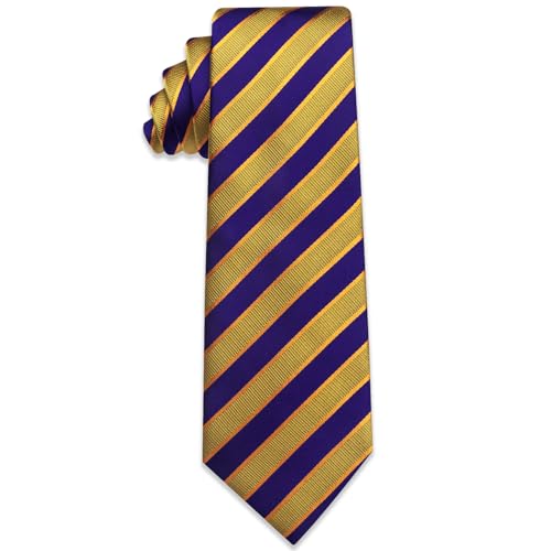Image of YourTies Men's Neckties Striped Tie and Plaid Neckties for Men Woven Silk Tie Gold Tie Clip Set
