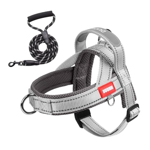 [ChopEase] AɗDn[lX pn[lX h~ Ԕ˕t ߉\ ^/^/^Ή iC \tg̎݌v yʈS Vv p UEp ȒP ƔwLfUC (CgO