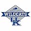 Kentucky Wildcats Diamond